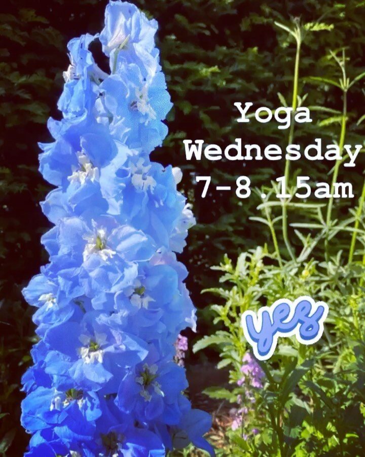 Oxford Yoga - Tall Blue Flower