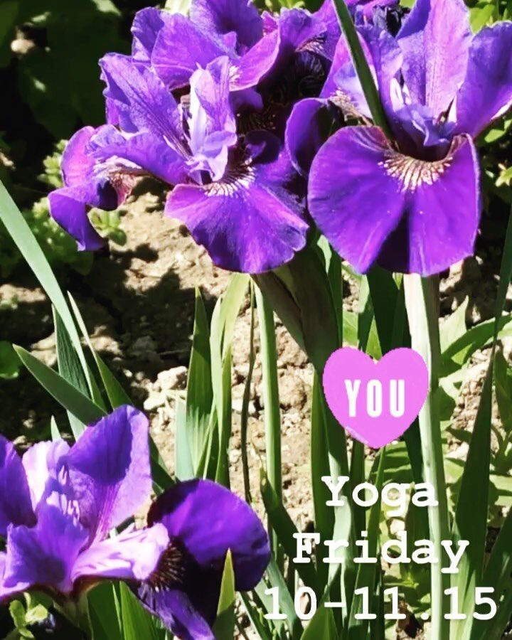 Oxford Yoga - Purple Flower
