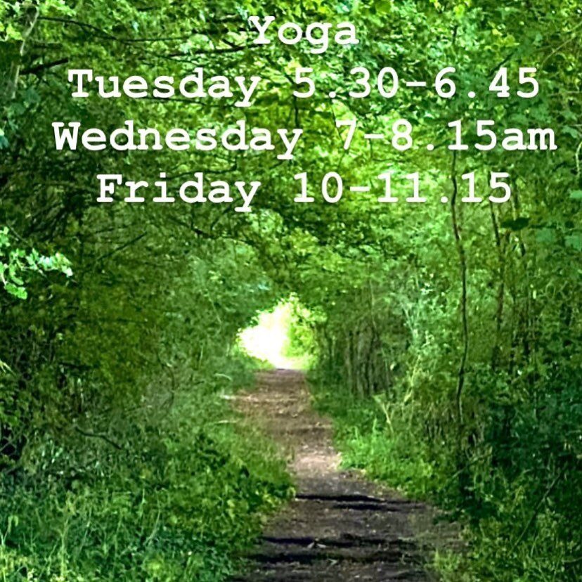 Oxford Yoga - Forest Path