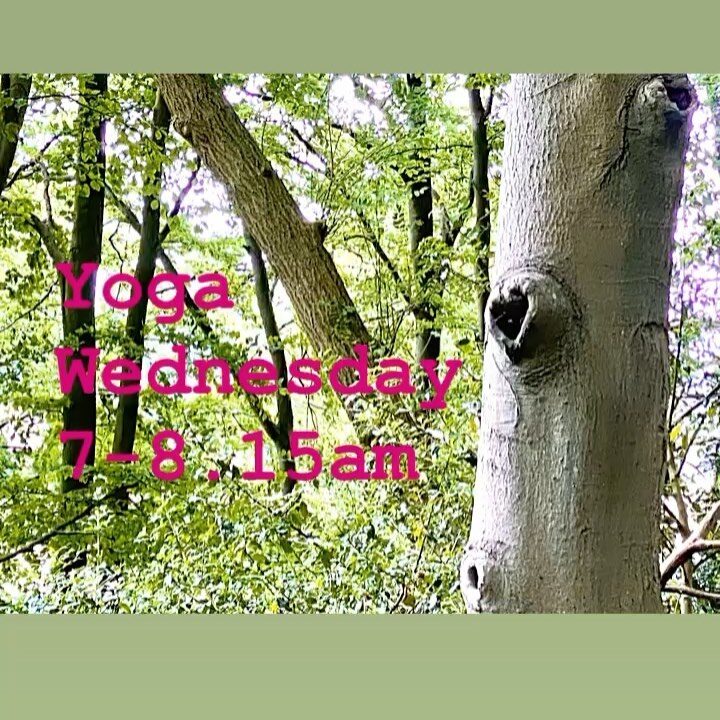 Oxford Yoga - Tree