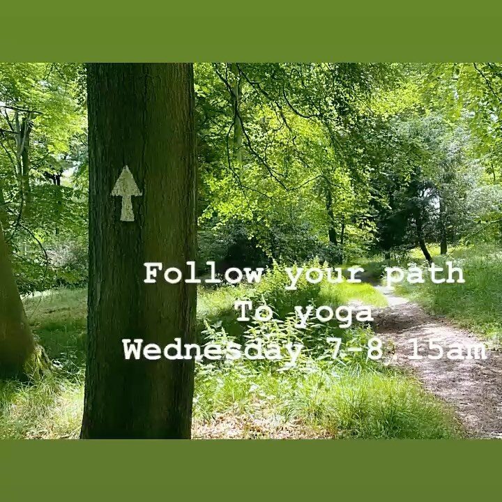 Oxford Yoga - Follow your path