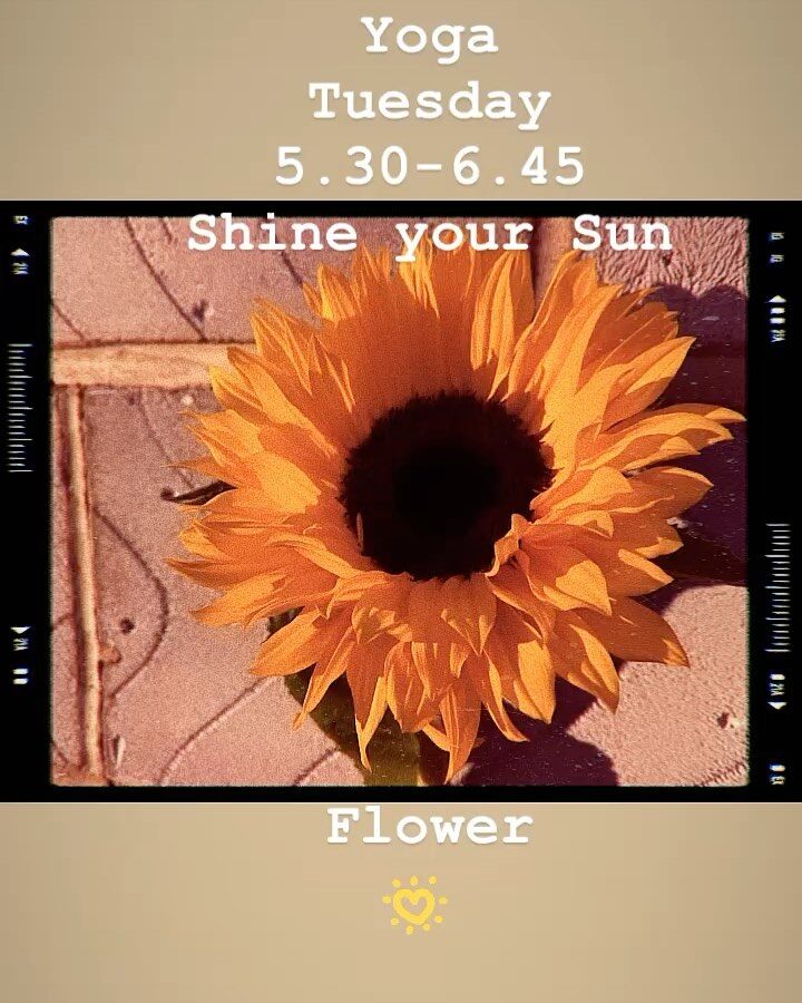 Oxford Yoga - Sun Flower