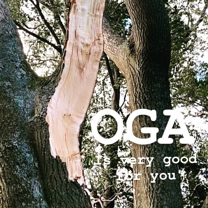 Oxford Yoga - Yoga Tree
