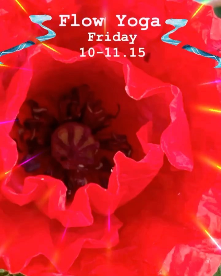 Oxford Yoga - Red Flower