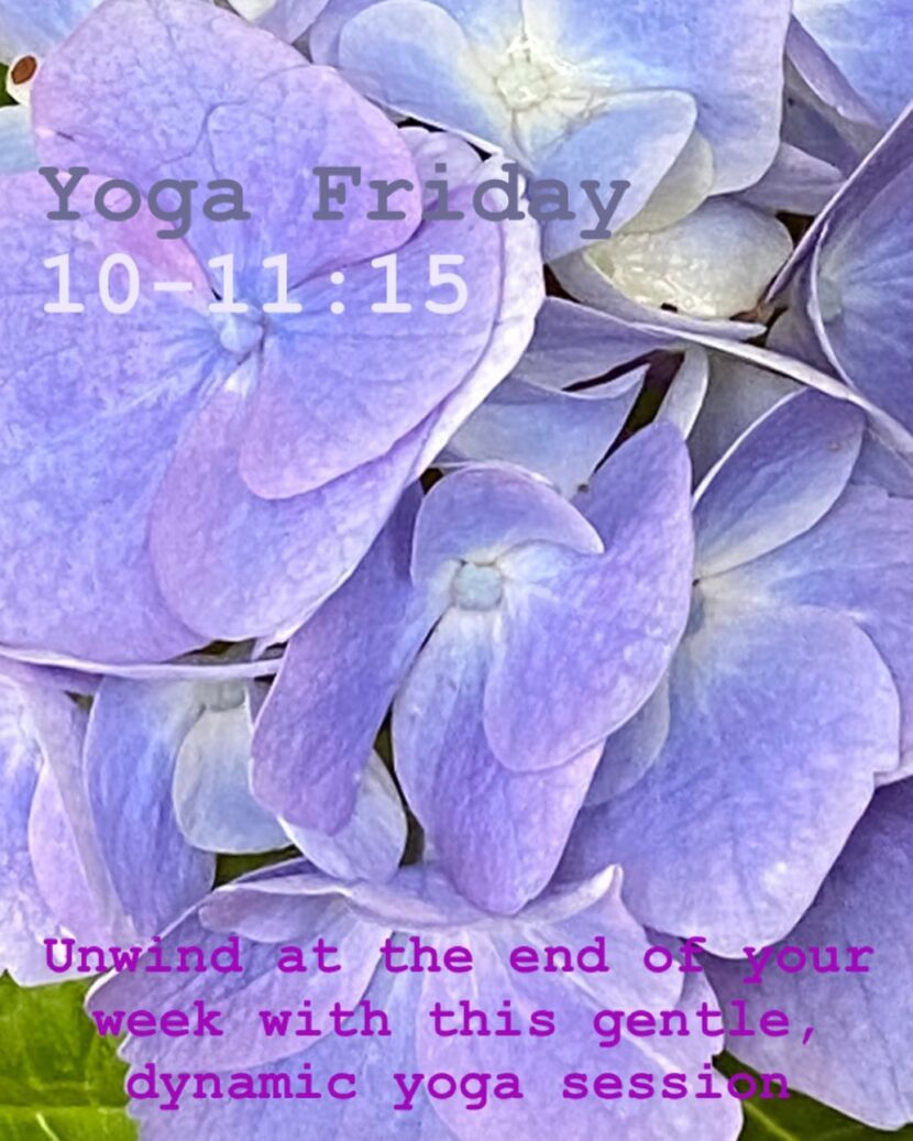 Oxford Yoga - Blue Petals