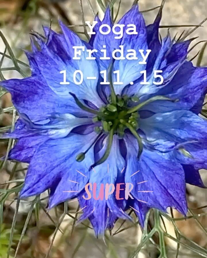 Oxford Yoga - Blue Field 3